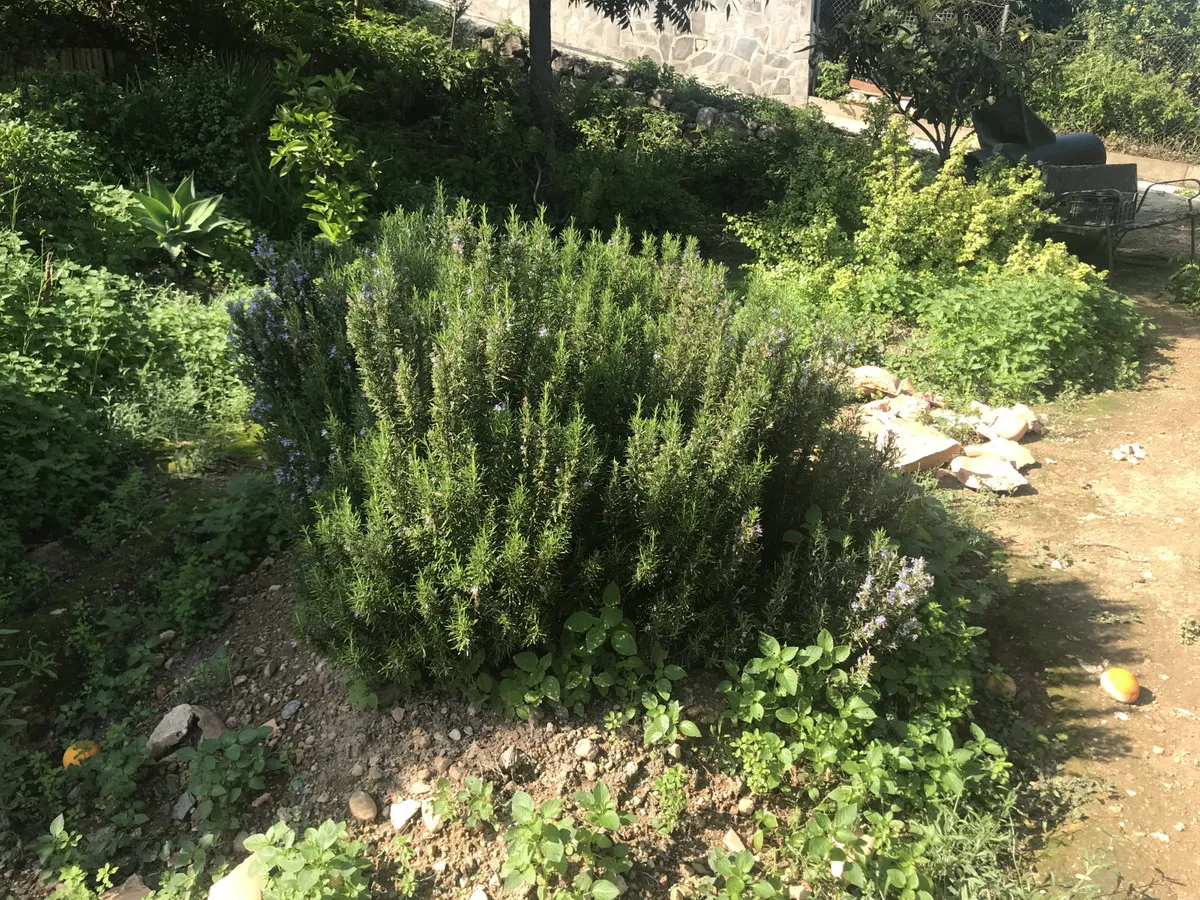 13989f97-e852-462f-bcf2-e0cde0562220