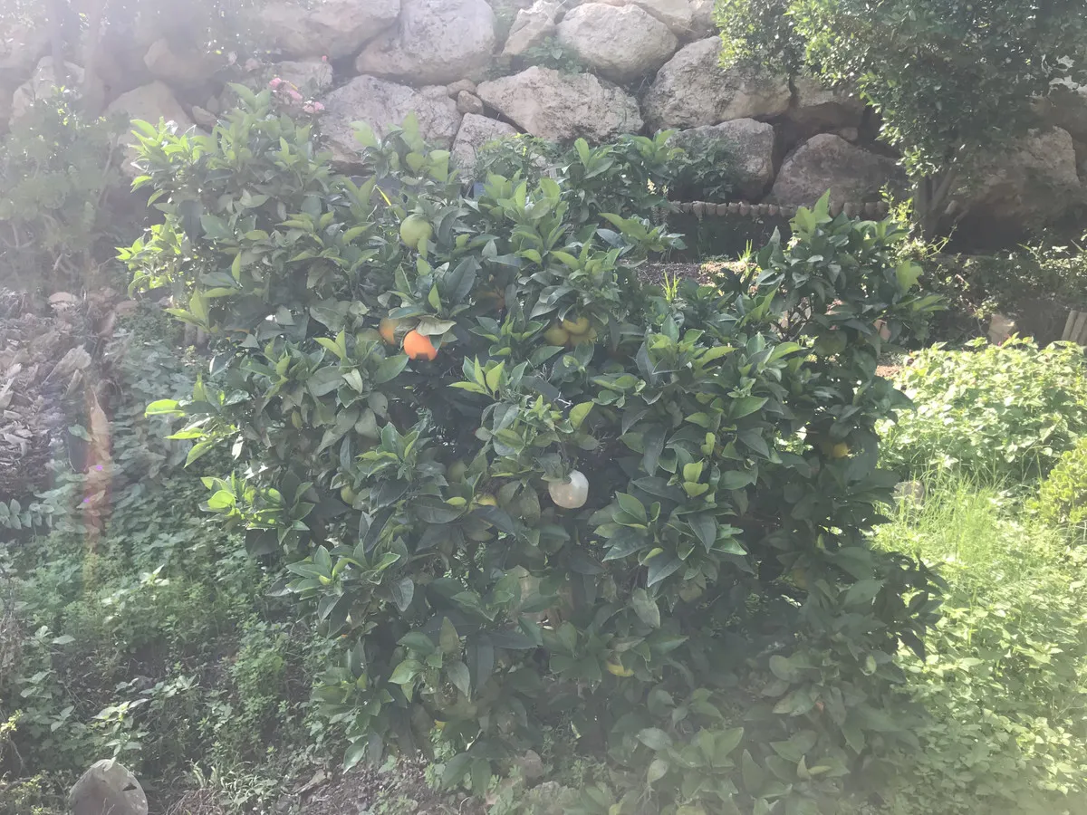 977272d7-9812-4bdd-af53-7182b76ef6e0