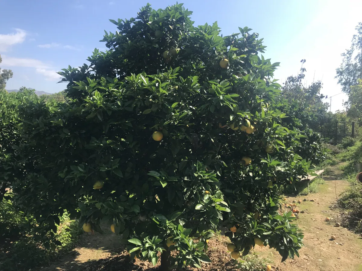 d84a47c9-e9b1-4696-9e5b-24da7c4cc59d