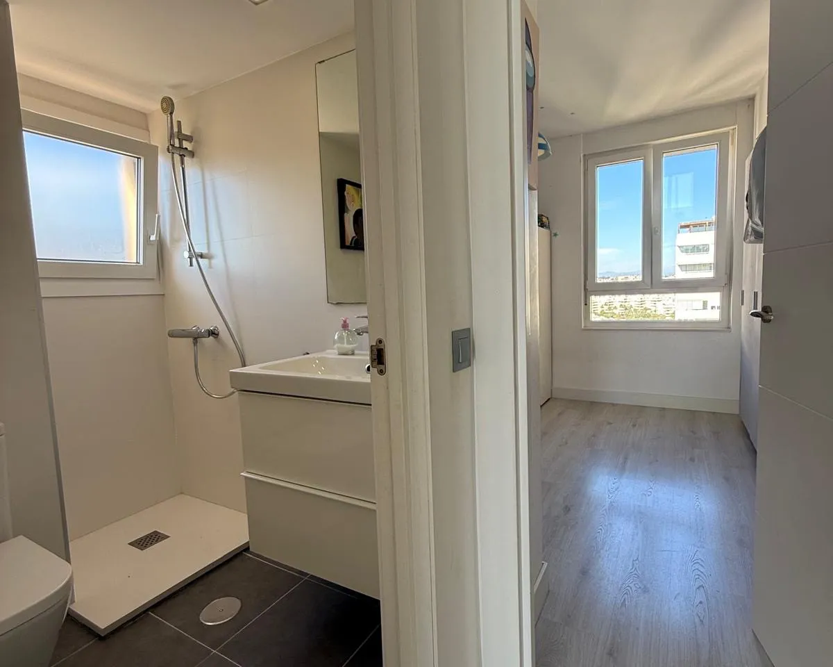 13f55cc9-8a01-43f8-bb2c-e622993eca79