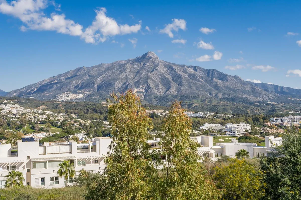 37d409de-2f89-484a-8e0f-a6abf36d3311