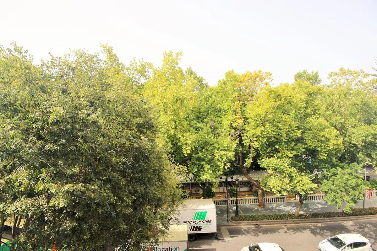 879690ab-aae7-4207-8cdf-578077352e6b