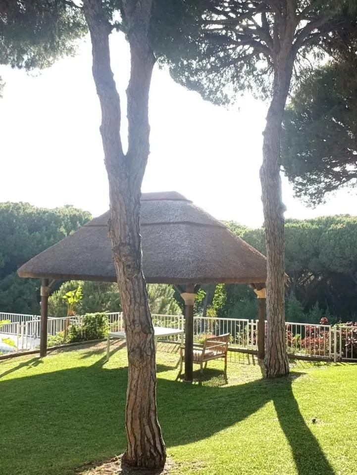 74677c57-d594-4153-86f4-86b98f15314f