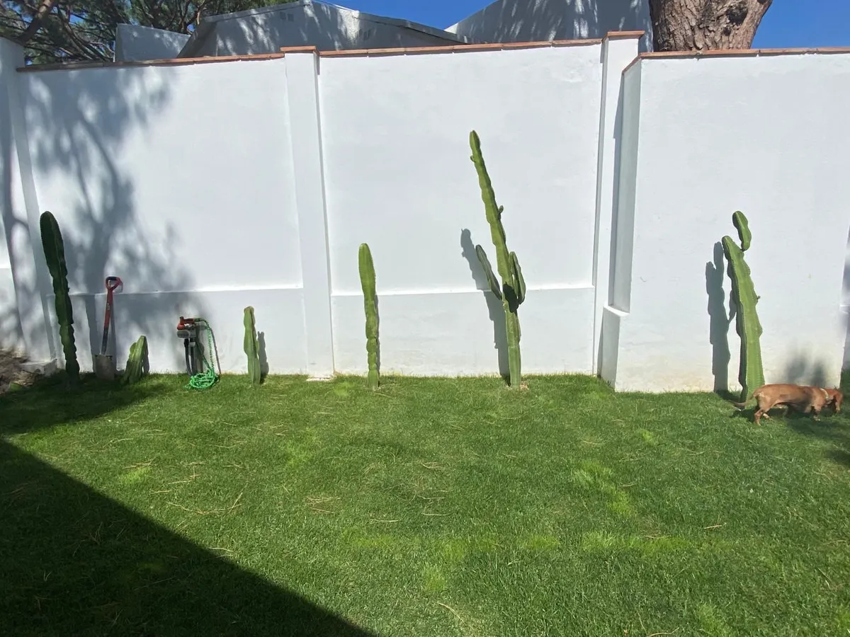 7de8c5a5-ab42-4a7e-b151-eaac6383eda3