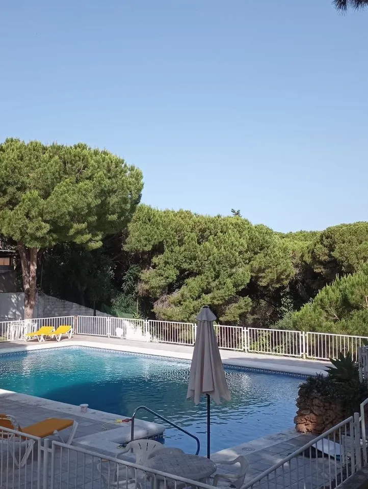 ae21dc2d-5760-4418-ba2a-86631434e53a