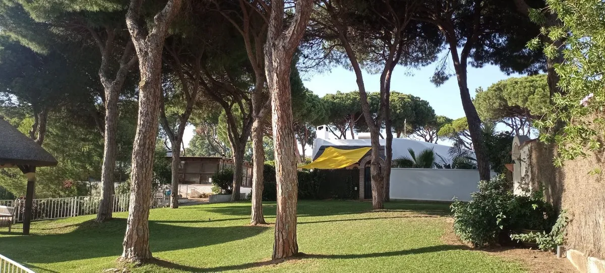 e0a49c5e-4295-4cf1-9cd0-ff8a00fe3228