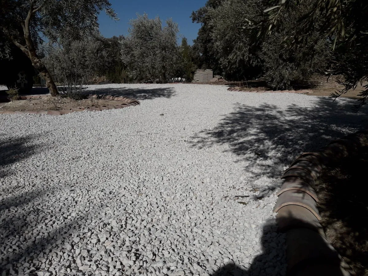 24c41bb4-33d8-4029-bc90-251dad8a44e8