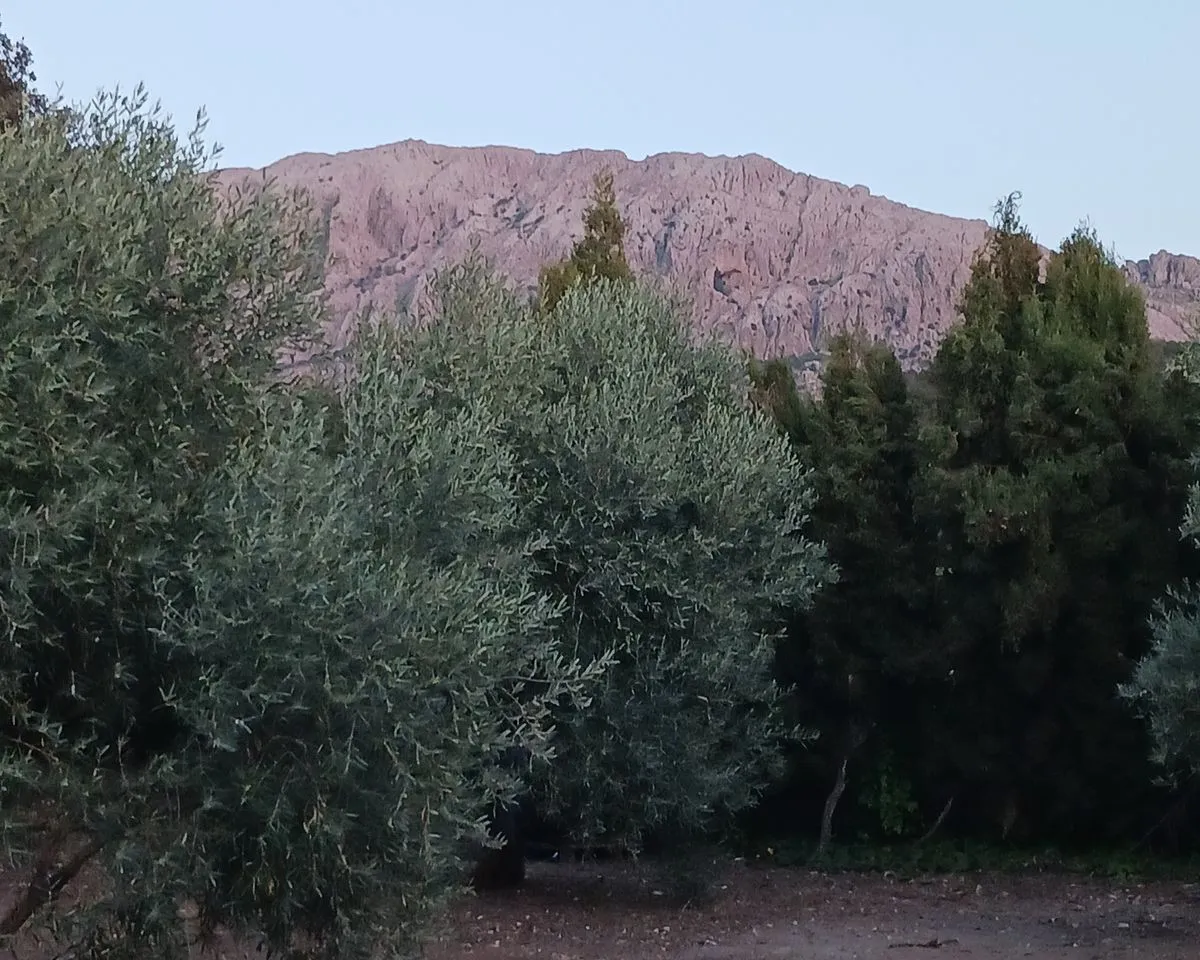 4035e4c4-a512-4018-9dce-3ac727926c92