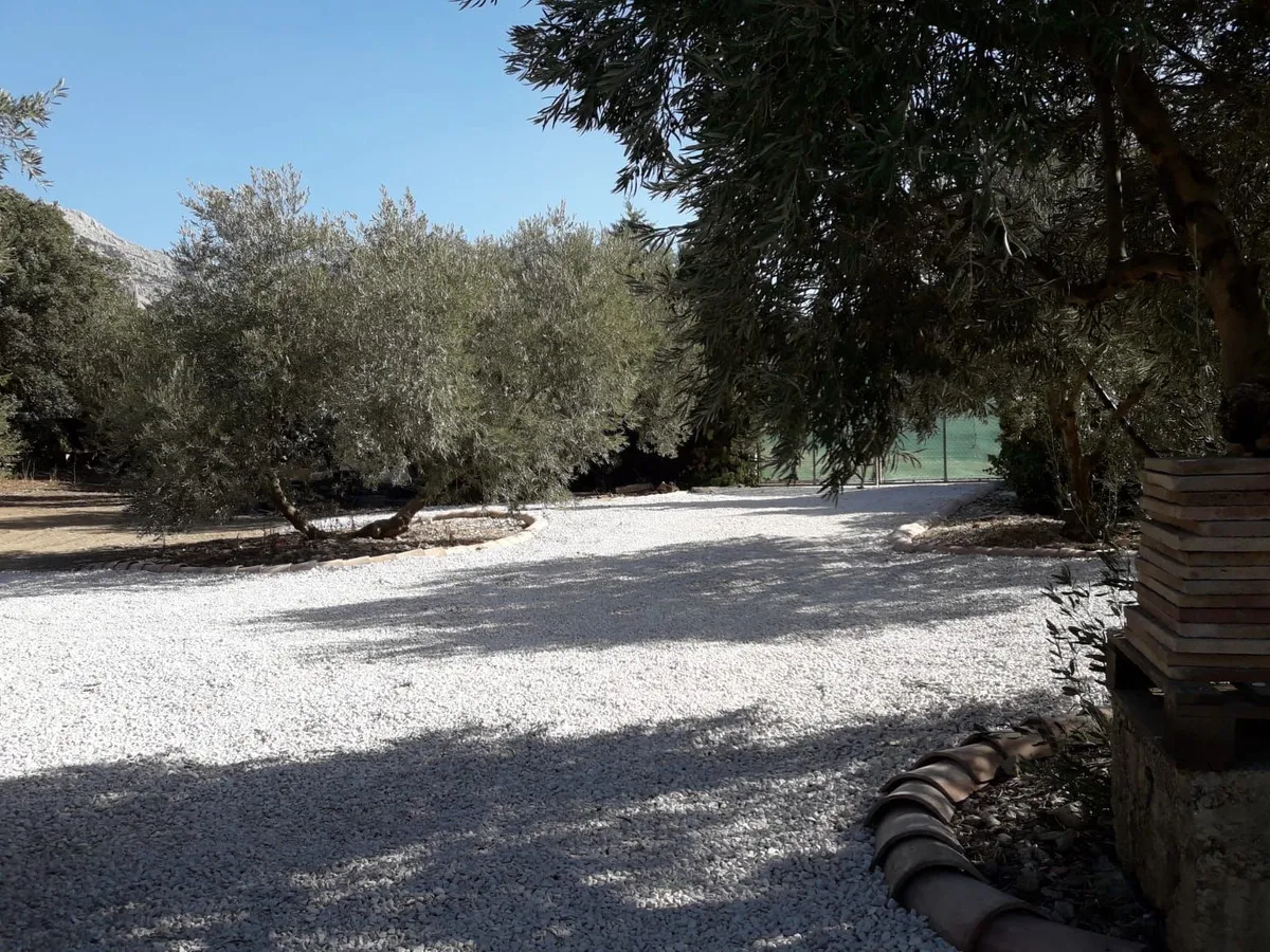 50282b4e-07b0-4f87-bb91-a86e006beaf6