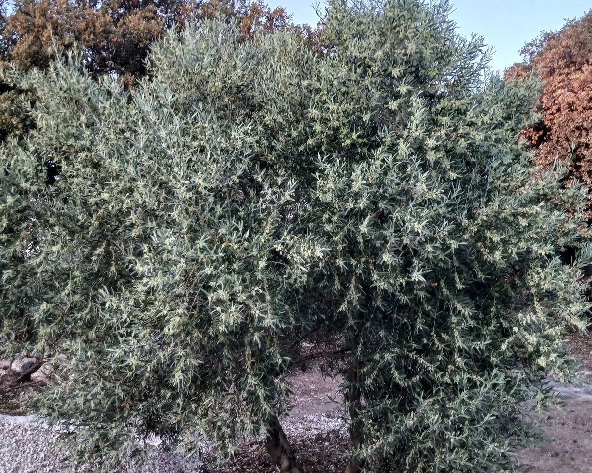 7a75780b-cb54-418a-9219-96d472e82b95