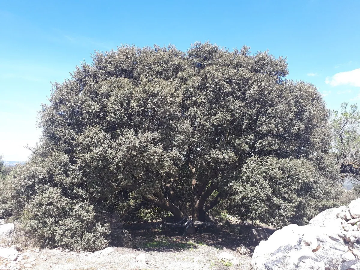 7f515ecd-188a-4de4-a10d-6f6862c4021c