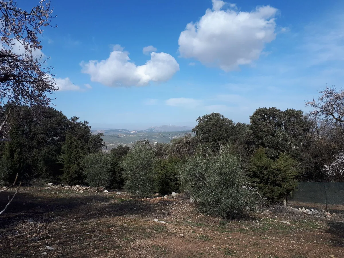 96d65ed8-3319-45a1-8816-556918d80e69