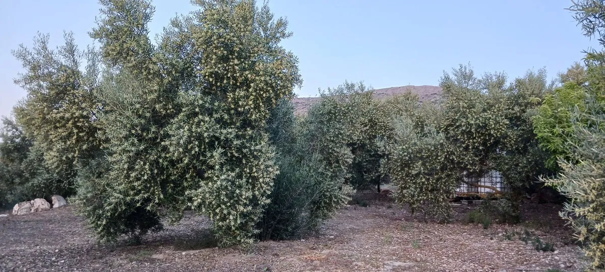 99f0510a-3170-4301-8780-3507e984b06b