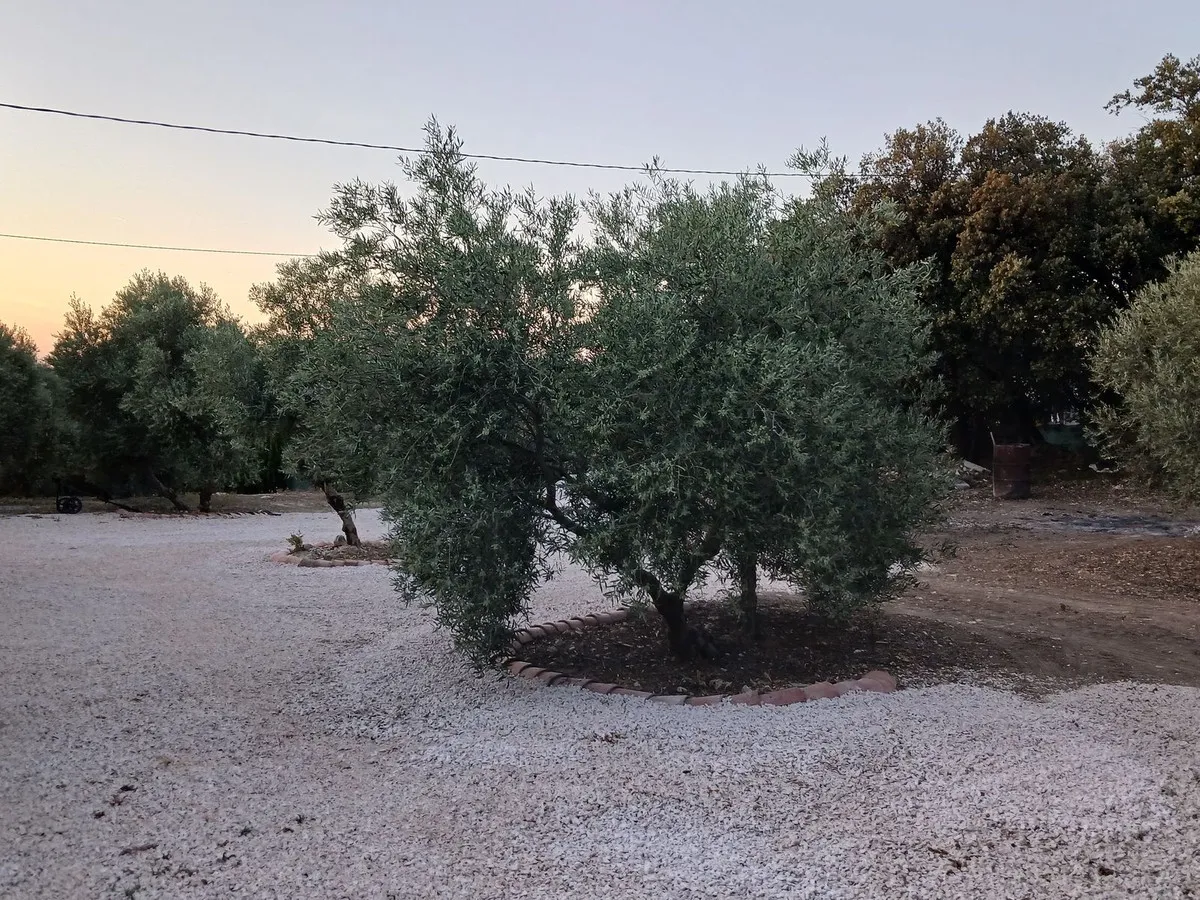 a3d1a07b-c9a8-4cad-8c22-34ece3523db6