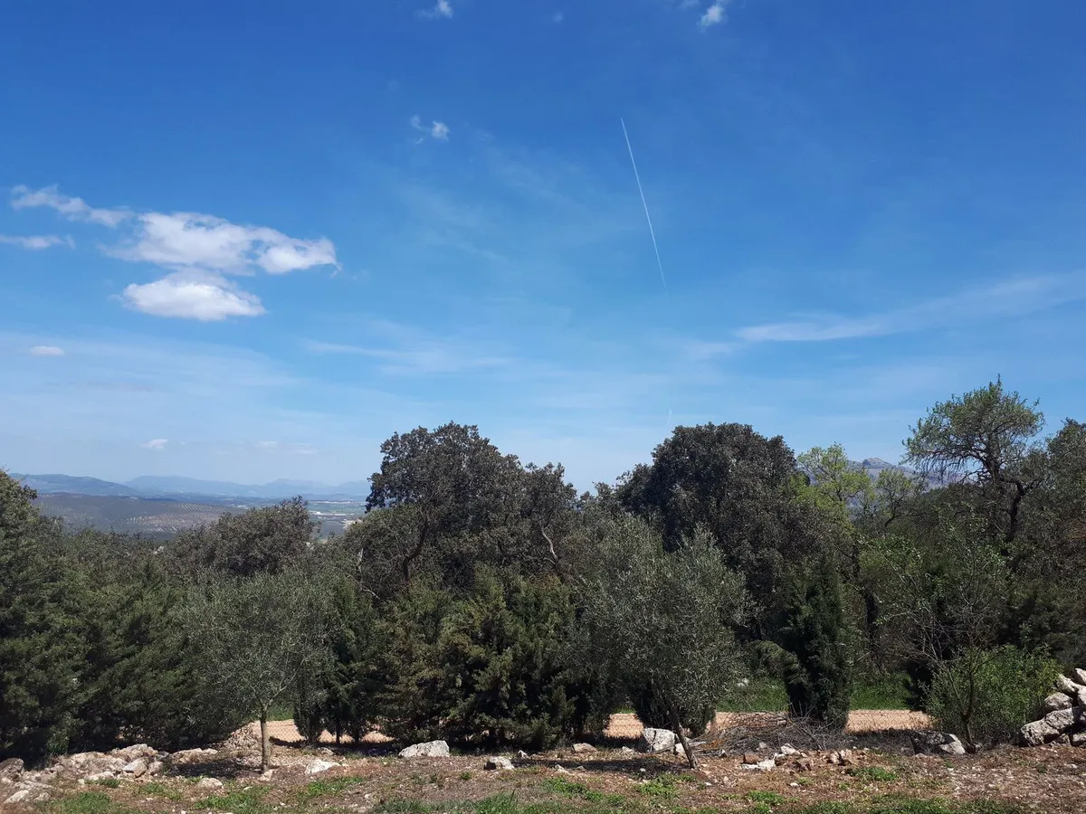 aaadd9cf-4c7d-4bd1-b61b-12473056a1ee