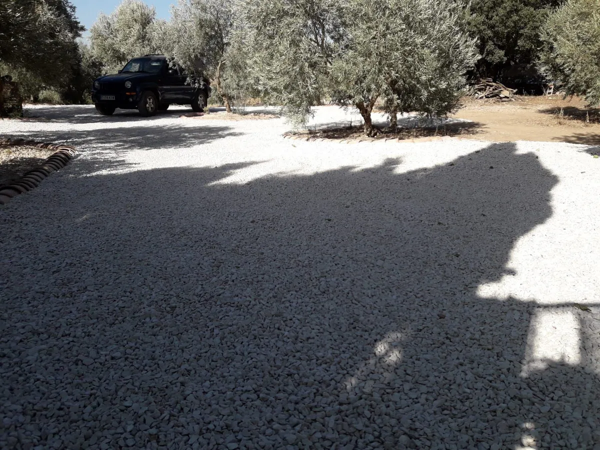 ae6a542a-5cc3-47b9-81c1-10f7e8e5fc8a