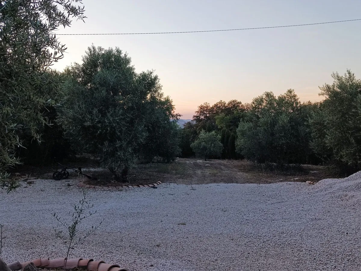 ba27ebff-615d-47d1-bd45-154b7535fbcb