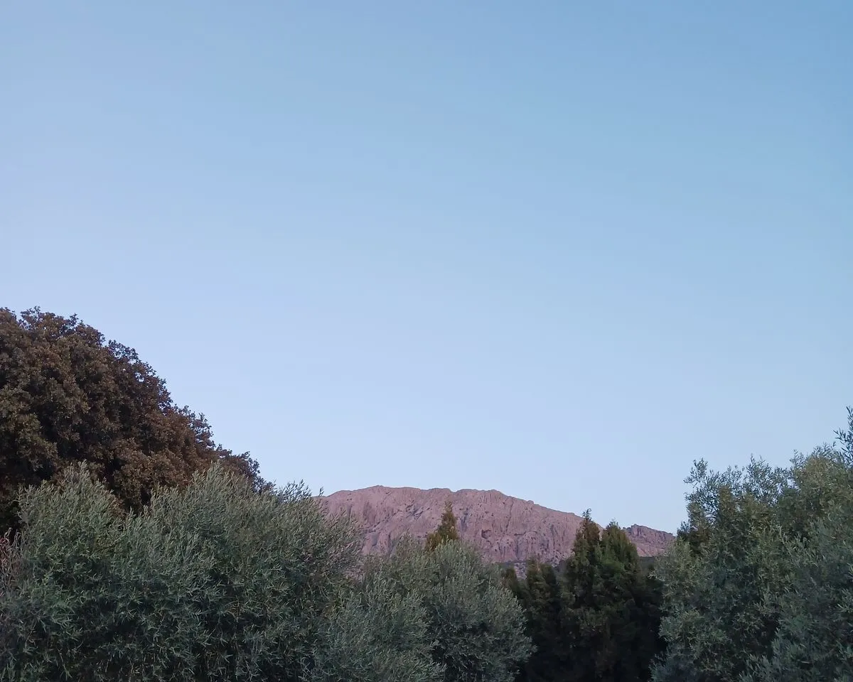 d12f01c6-7f9f-4548-b8d8-ab4c403c56bd