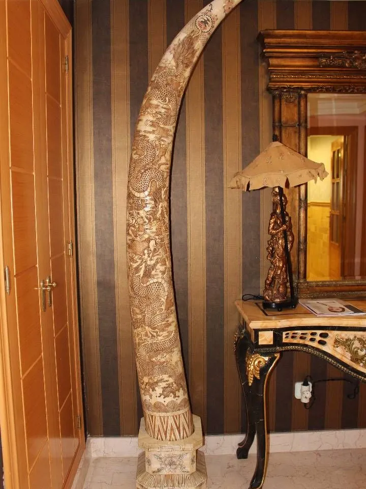 3b747992-31b0-4019-9d16-cbd219a63e11