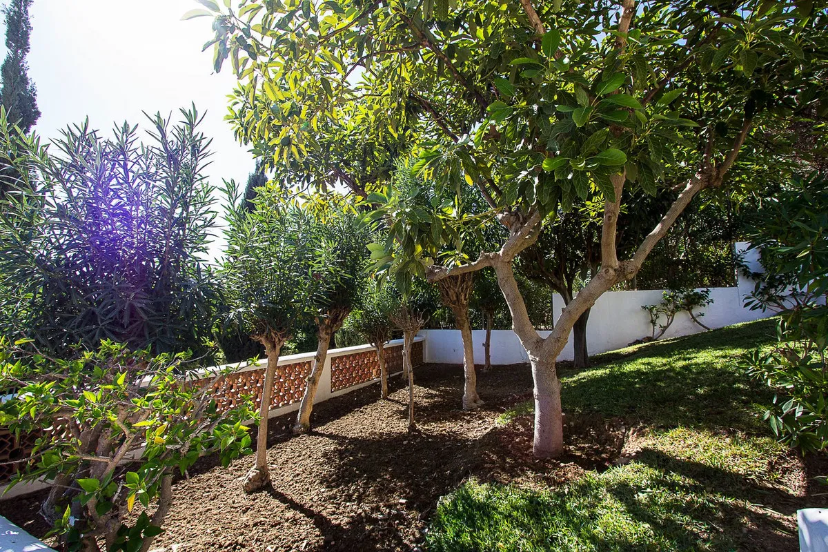 80237d88-5fb5-4a9b-9f11-ed9b5096abc3