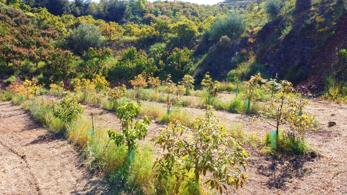 01d18d74-2042-47ba-b94c-cda72897ba88