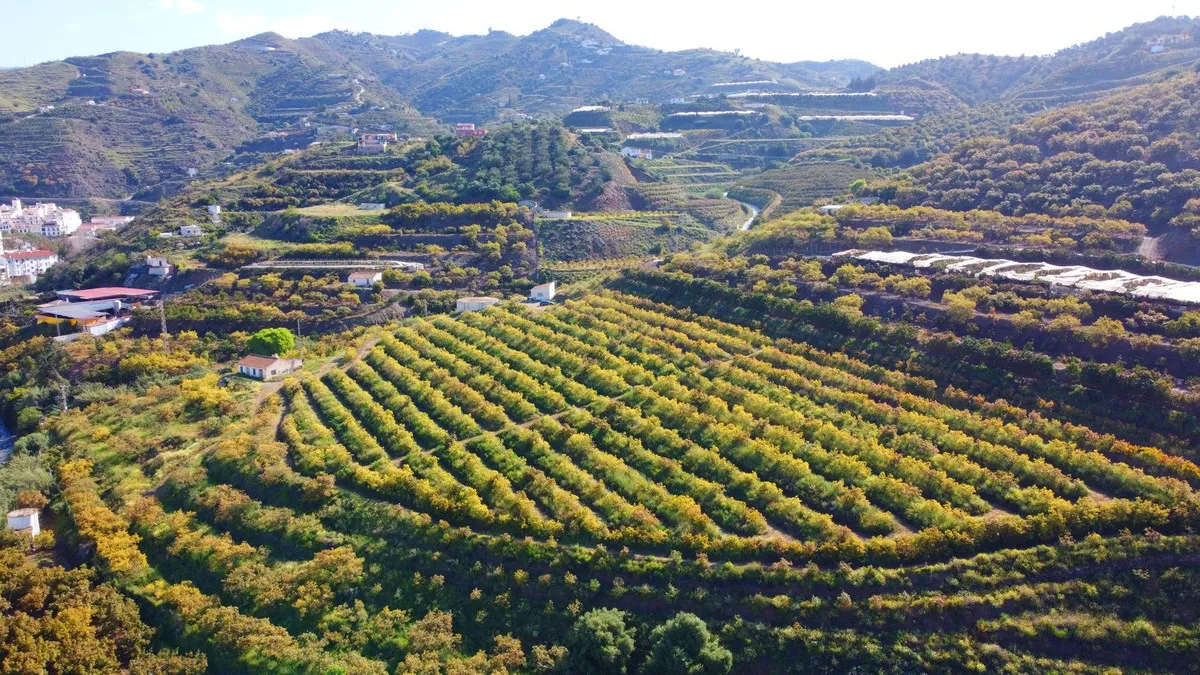 34a57acc-2d7a-487c-85af-4e04e88e0cd3