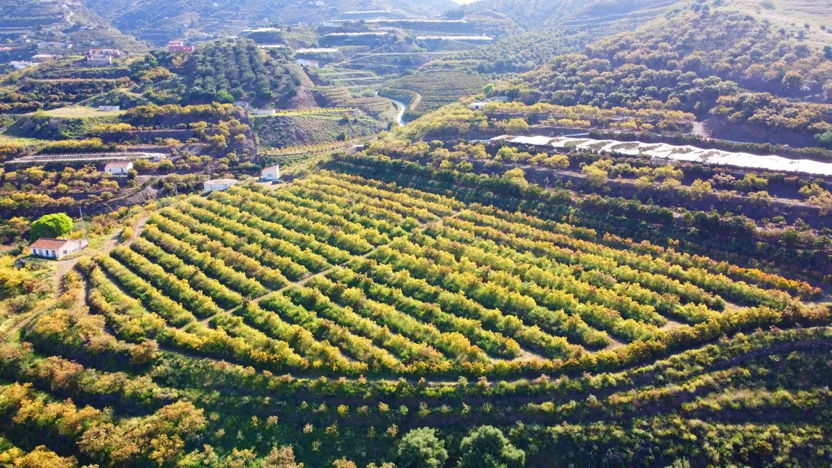 79b486c2-b3e9-4a30-a696-ccc263d9935c