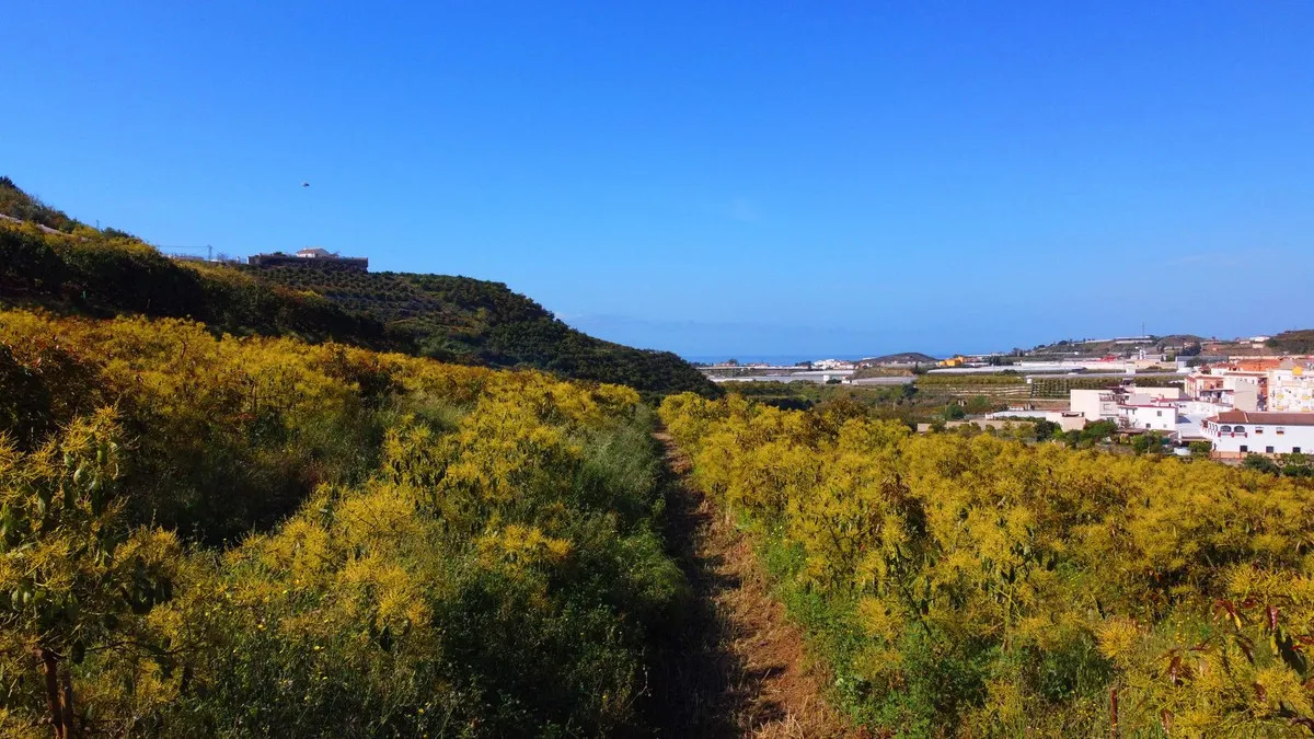 8db36eac-e8e3-4634-8c44-c4321de0d38b