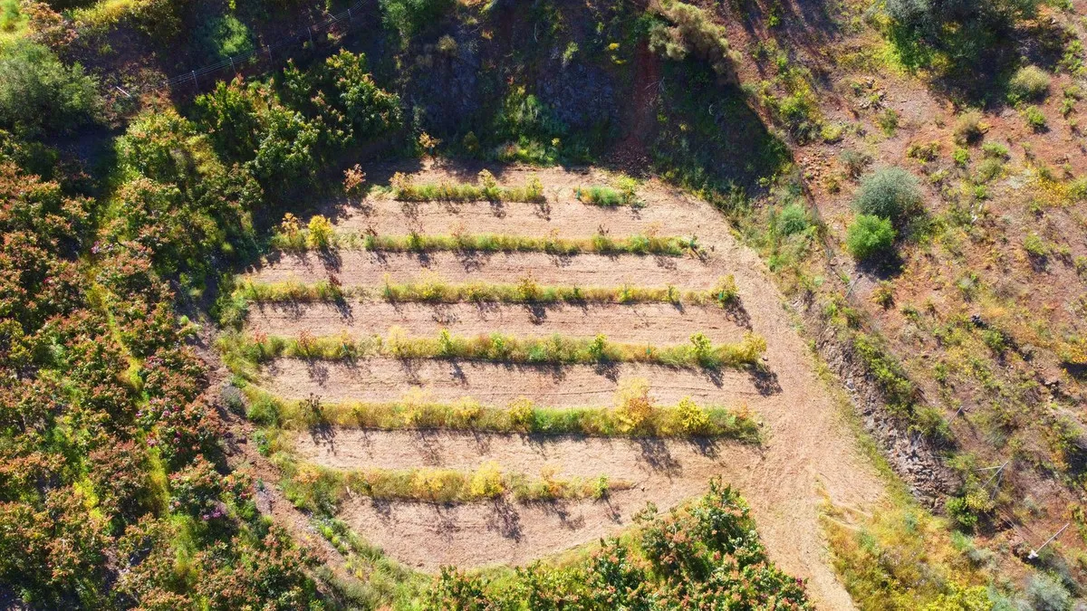 912a9e64-579a-4e40-9f72-fb5e4bcfd61a