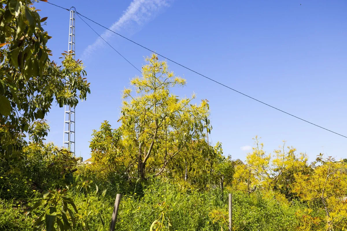 a59b2fc7-7ecd-4121-8048-b67cb5f77723