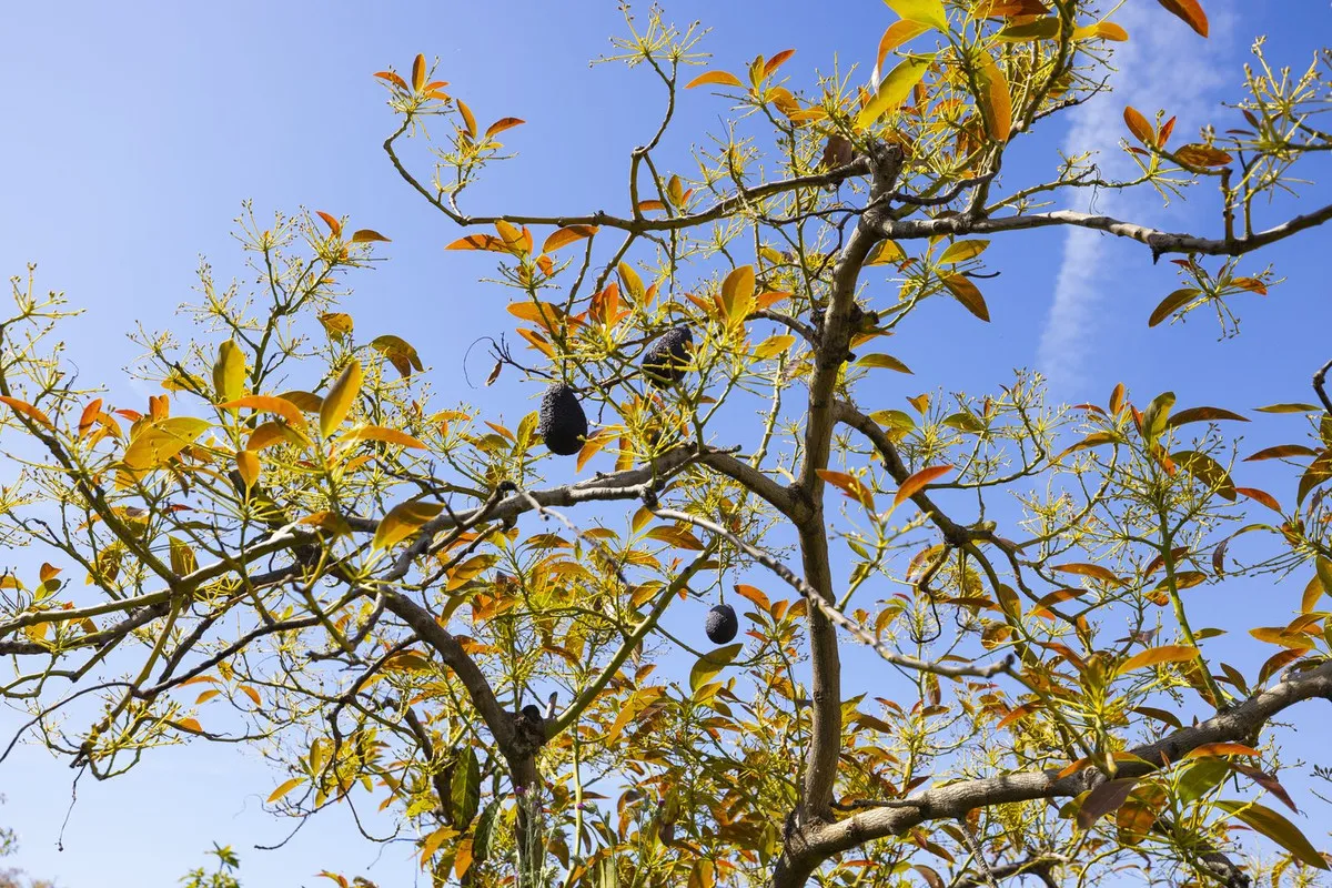 c9a279b9-f1a2-4584-a7a3-2bccabab8e0f