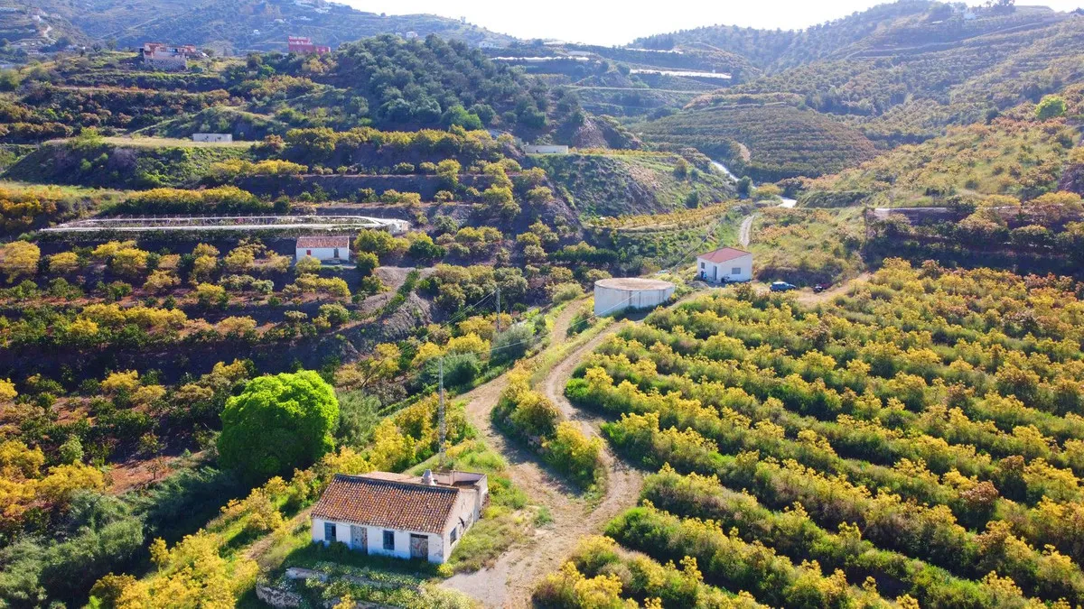 d0ff3b34-2c9c-454c-9623-a017050aa253