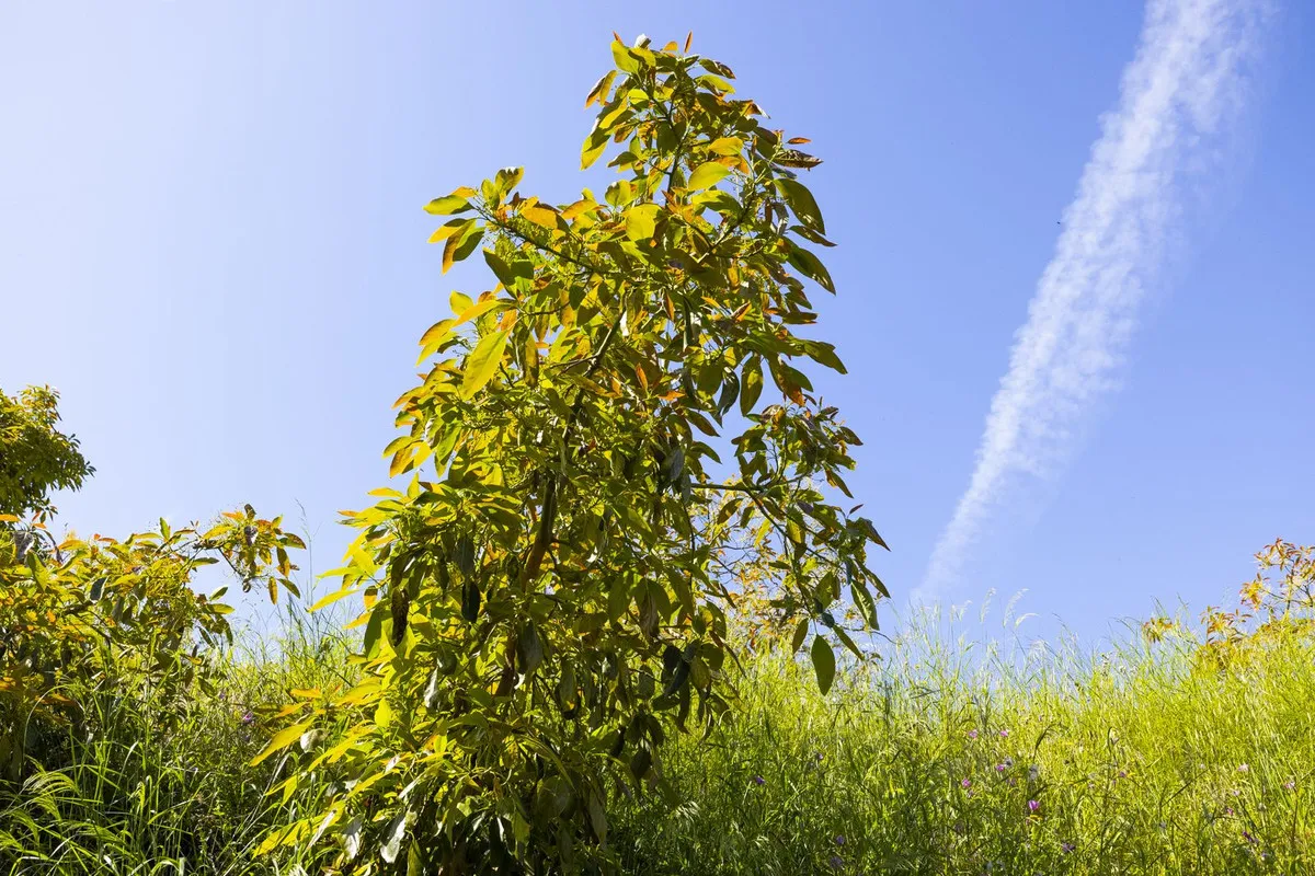 ec86a6b3-983c-41e9-85e2-aecff78baef7