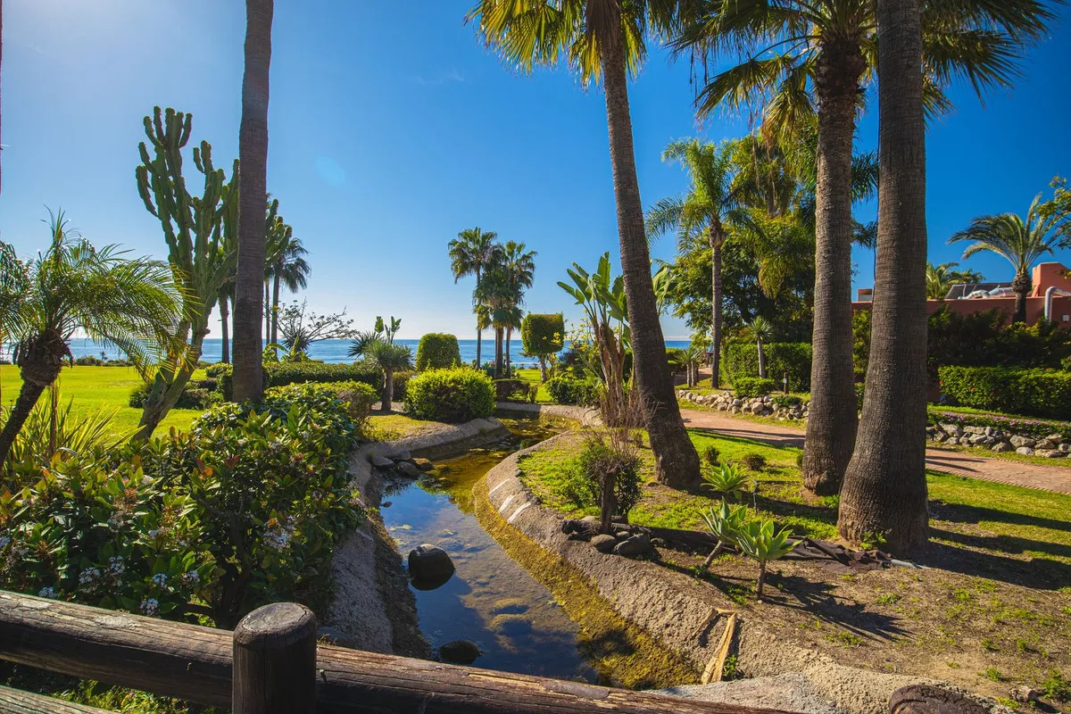 c556a050-446c-4fdb-bcb9-445c79e8f84d