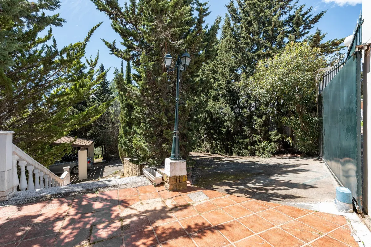 cce74ca7-9059-4021-93a7-350ddf141eca