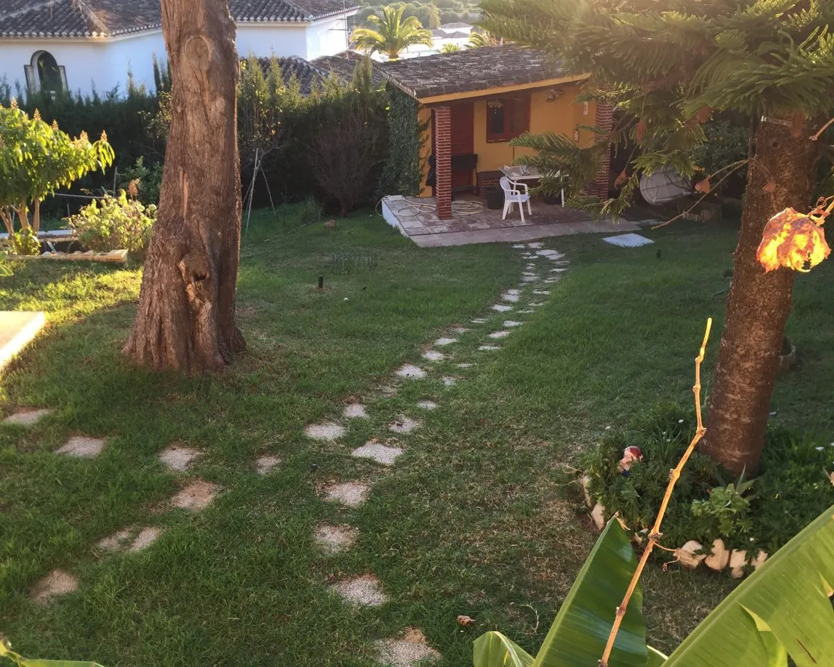 6d099dfe-f5a2-431b-98d1-6dfd44f203f6