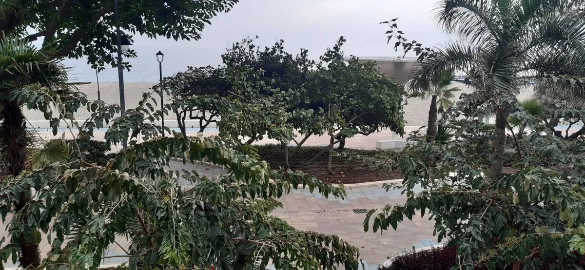 739df21b-9b8c-4073-899e-abfc469fa7c9