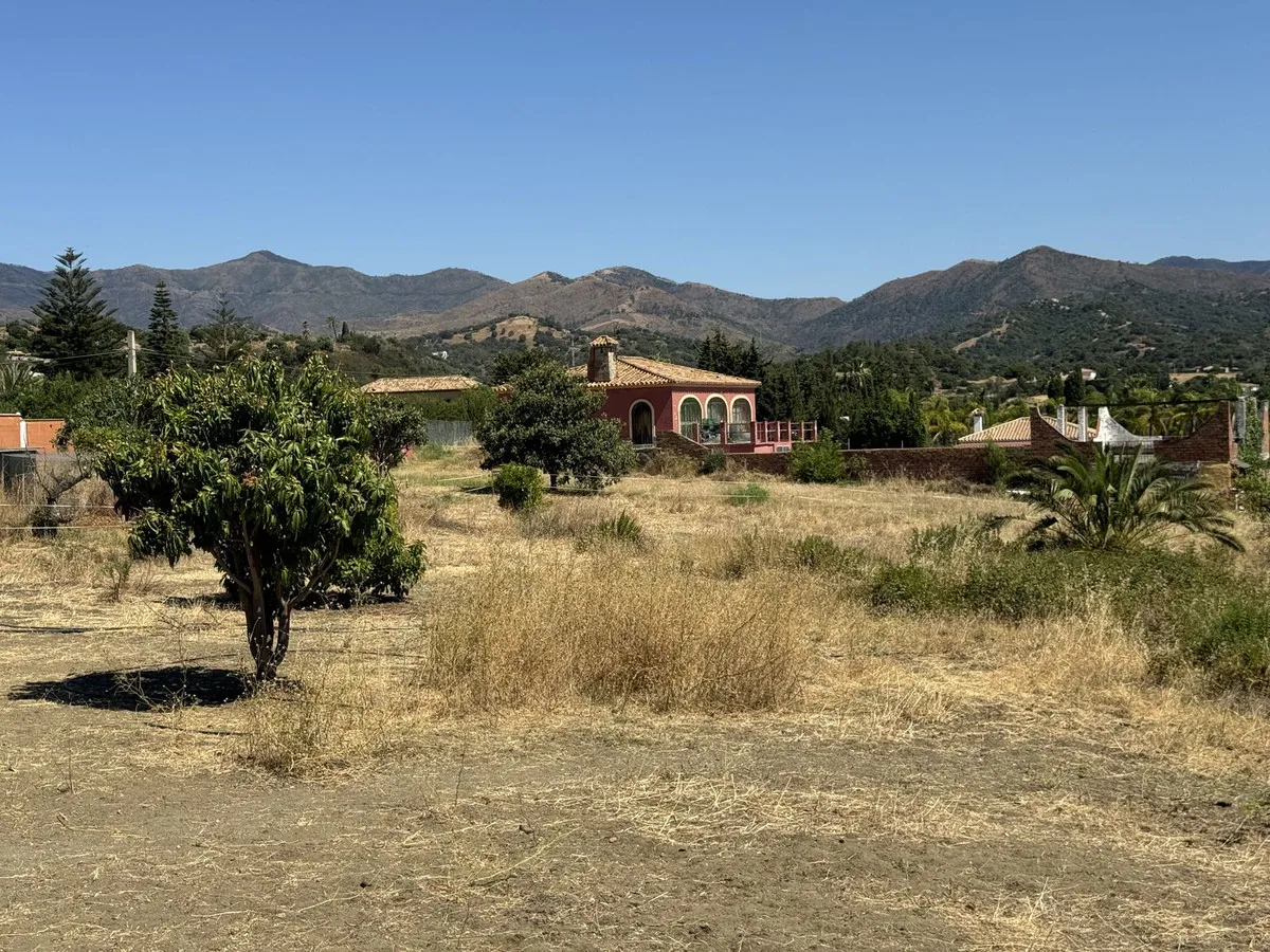 24e956b7-8797-4b02-b07c-7a434dd85d09