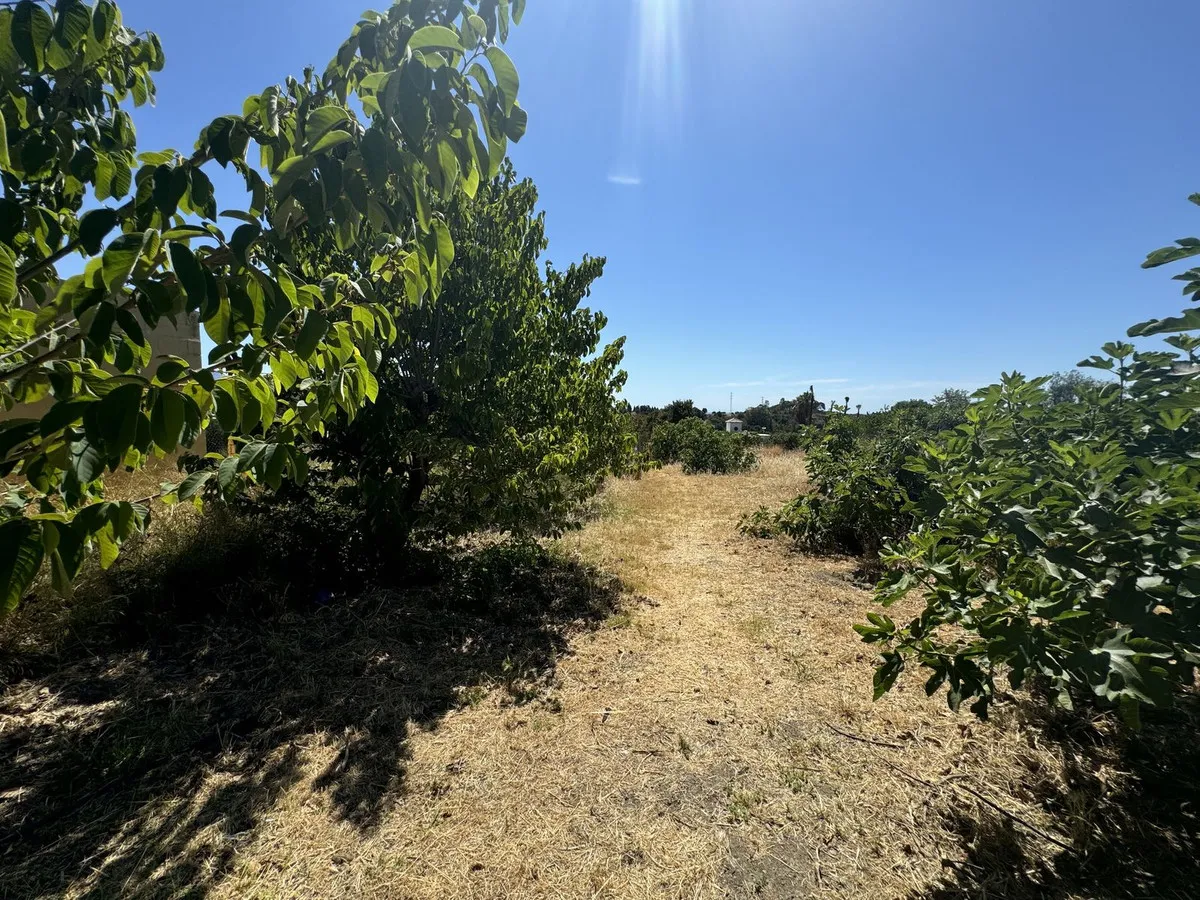 40195a02-3c39-4022-9388-e057af2e2a42