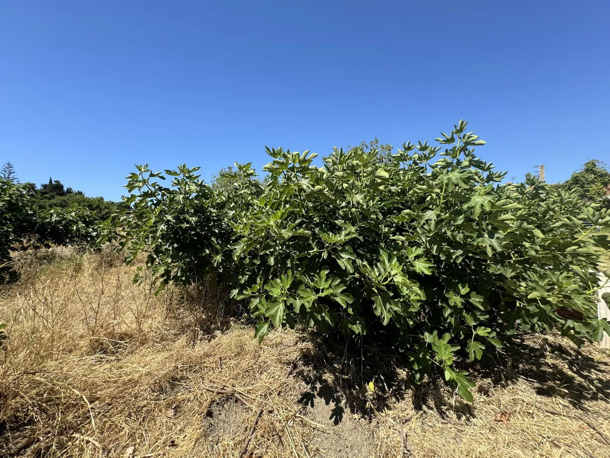 44288da7-d097-4e00-925d-cf042dd623bf