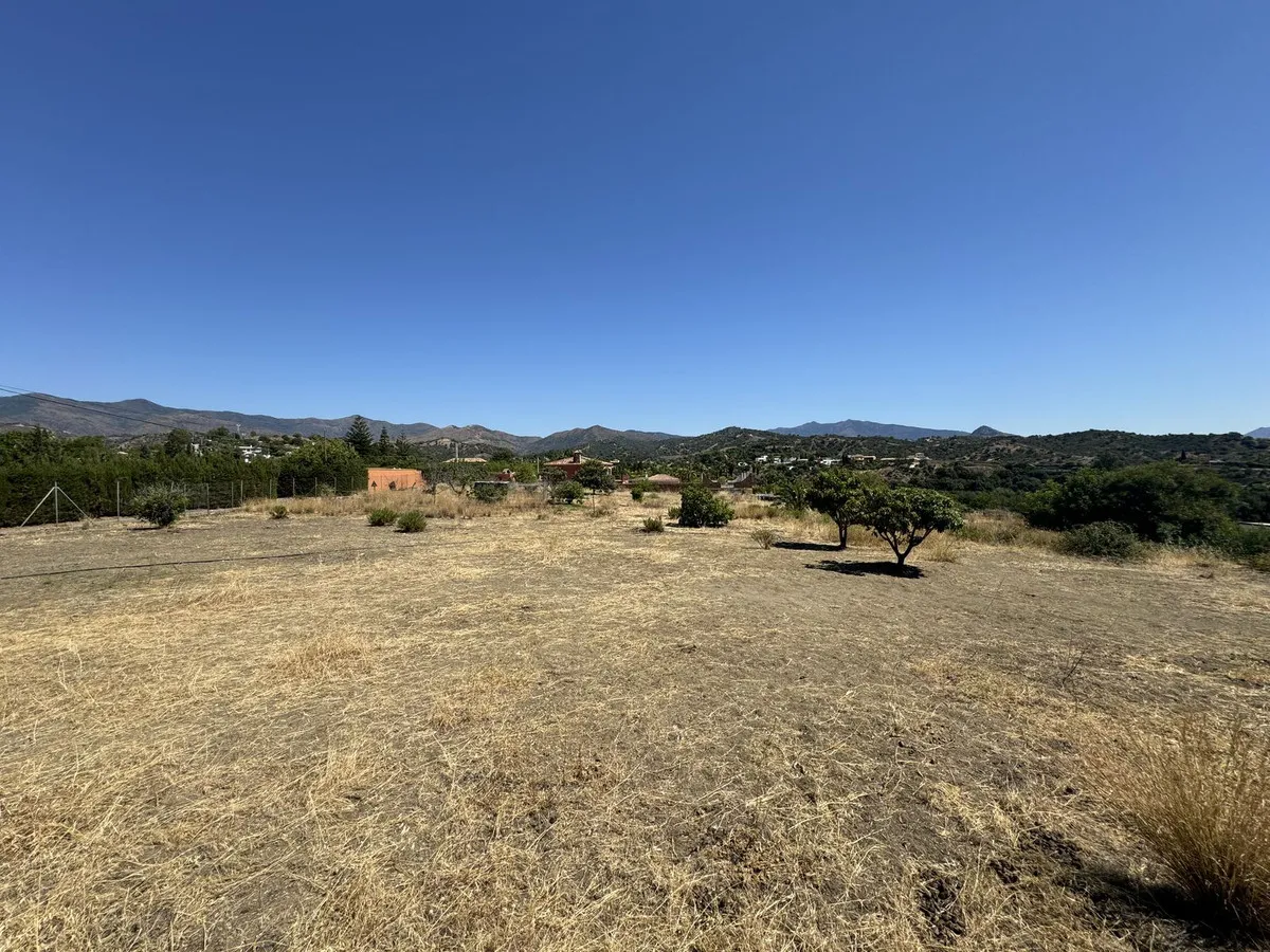 53bb499f-4332-4bbc-a5b8-0d2659d22fef