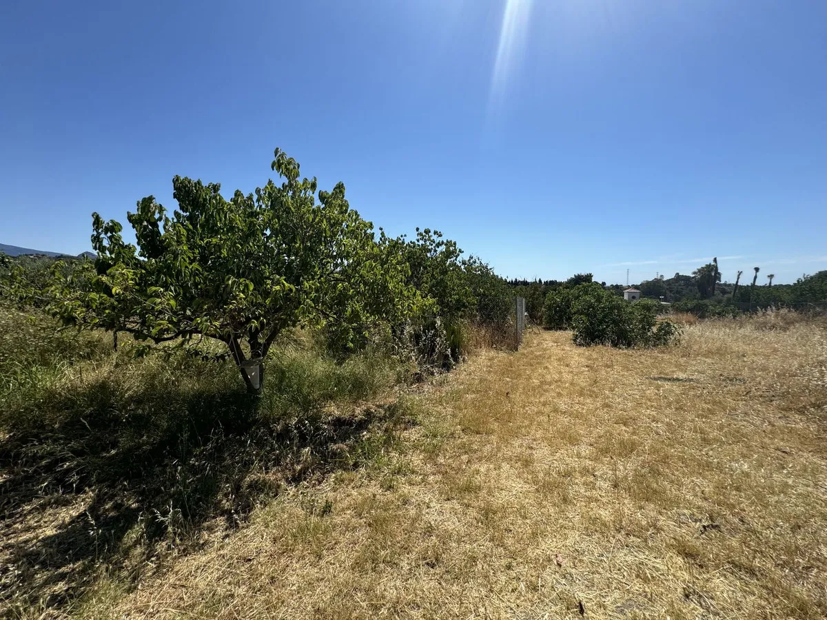 695b978f-c614-4402-af67-3fced17ee40e