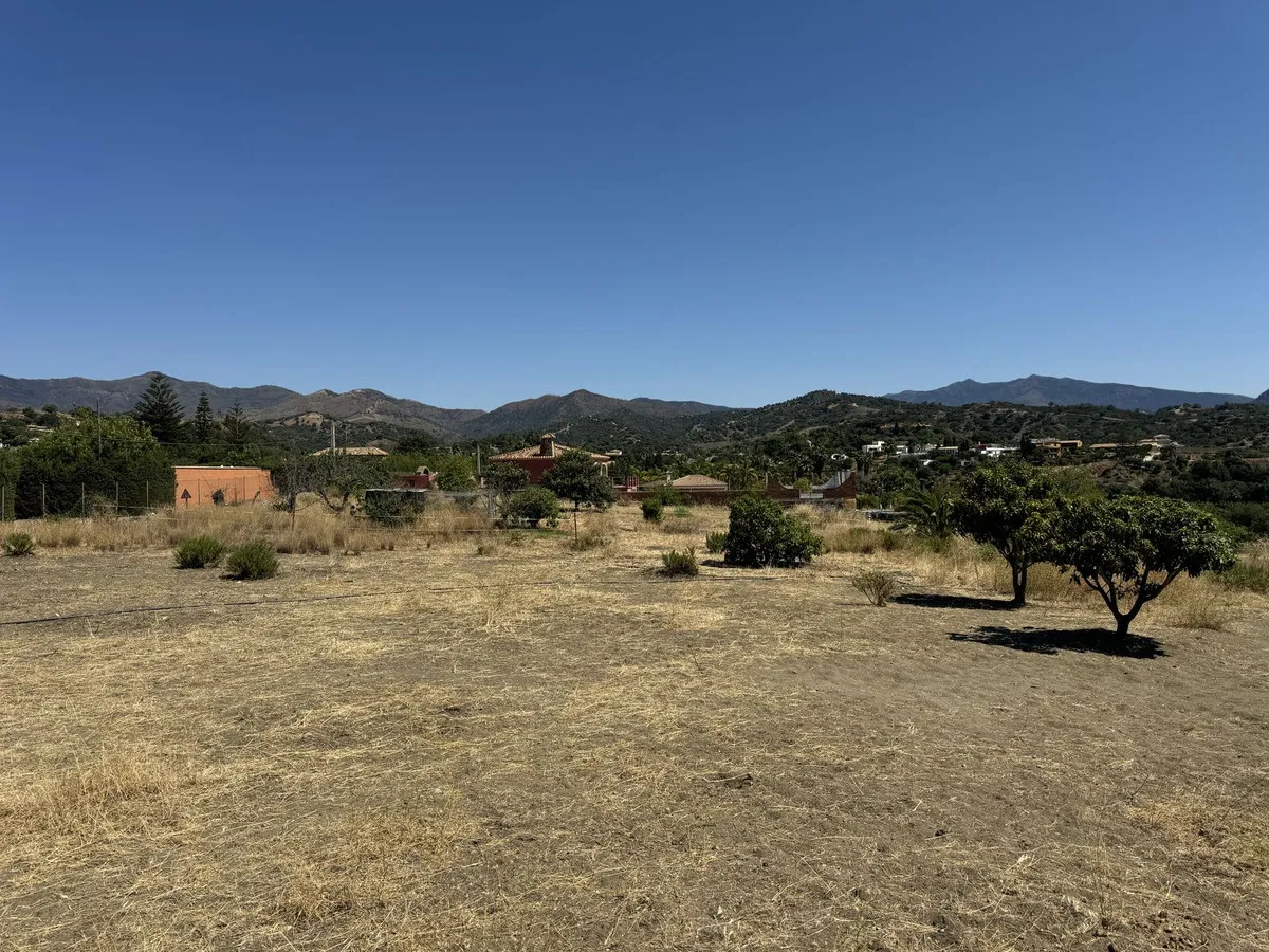 78c74155-6102-4dc4-866d-e37f77bb2fc5