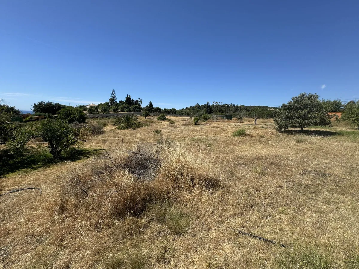 83d2cd1e-2b58-4cf2-8693-6f28b0eda354