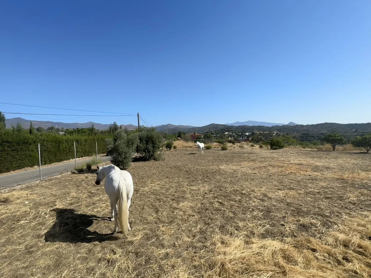 8d68c5b7-a89f-4fd0-ab0f-34b255fcec8d