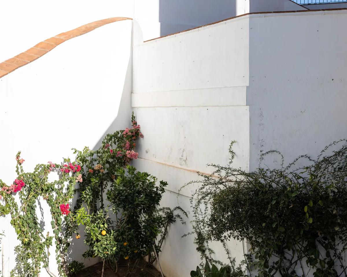 ad02873c-48b2-4c4c-b8c4-54594a11487f