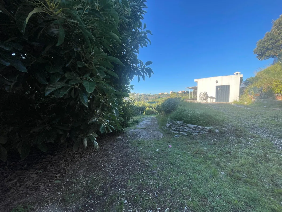 24f2285b-5943-41af-a7d6-f2b033208f28