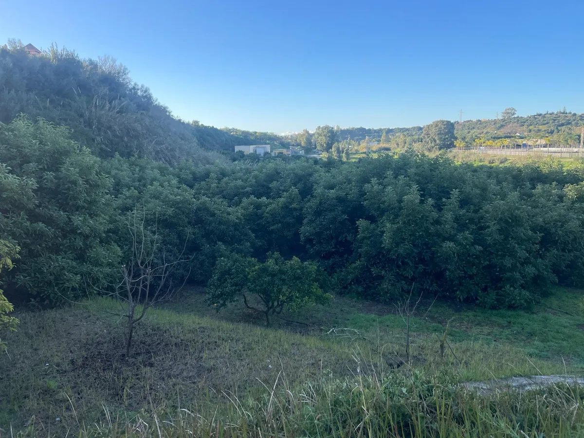 4cf92dad-a3f6-4ac0-8dc3-3e045d899a78