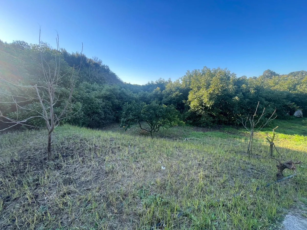 8695db88-2bf6-45e4-aaea-4a696da10943