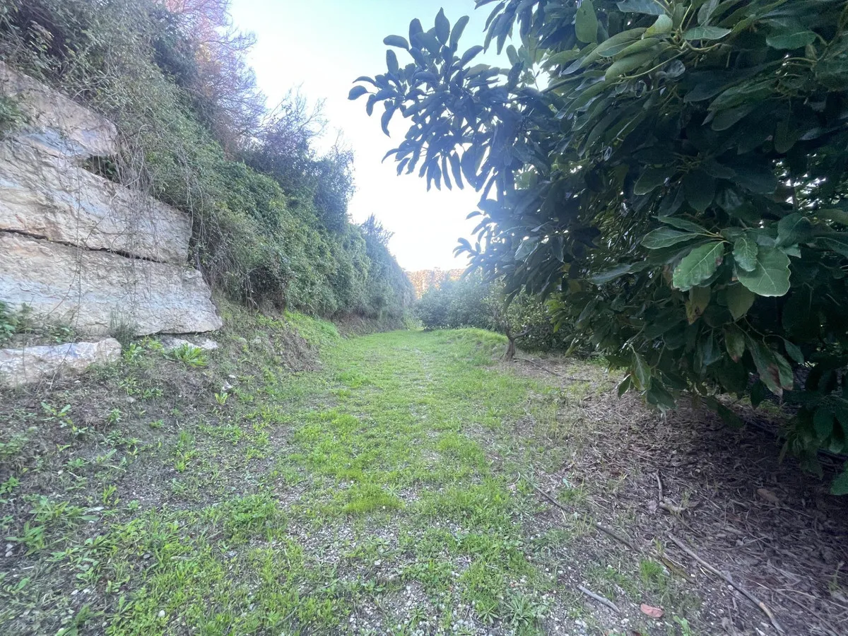 a14acd22-7832-4676-aa43-d494965ab47a